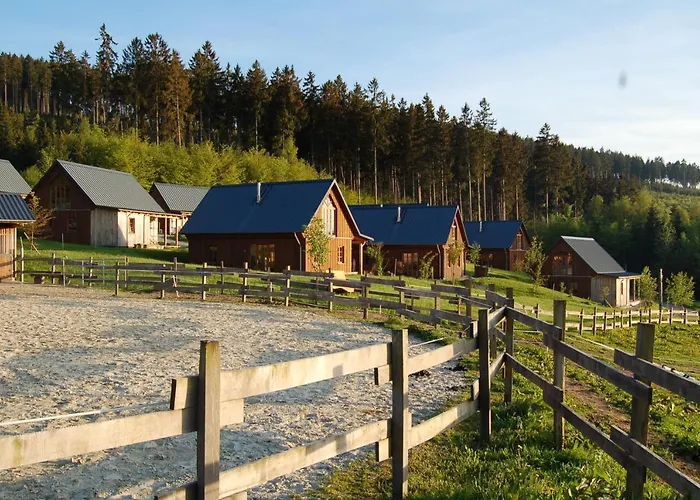 Bergdorf Liebesgruen Schmallenberg