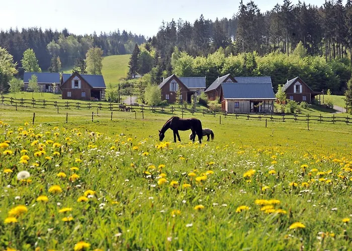Feriepark Bergdorf Liebesgruen Schmallenberg
